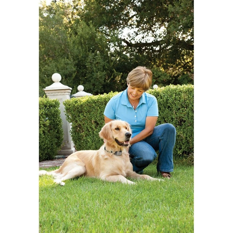 PetSafe - anti gø halsbånd store hunde
